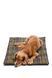 Килимок для собак DOG CAGE MAT
