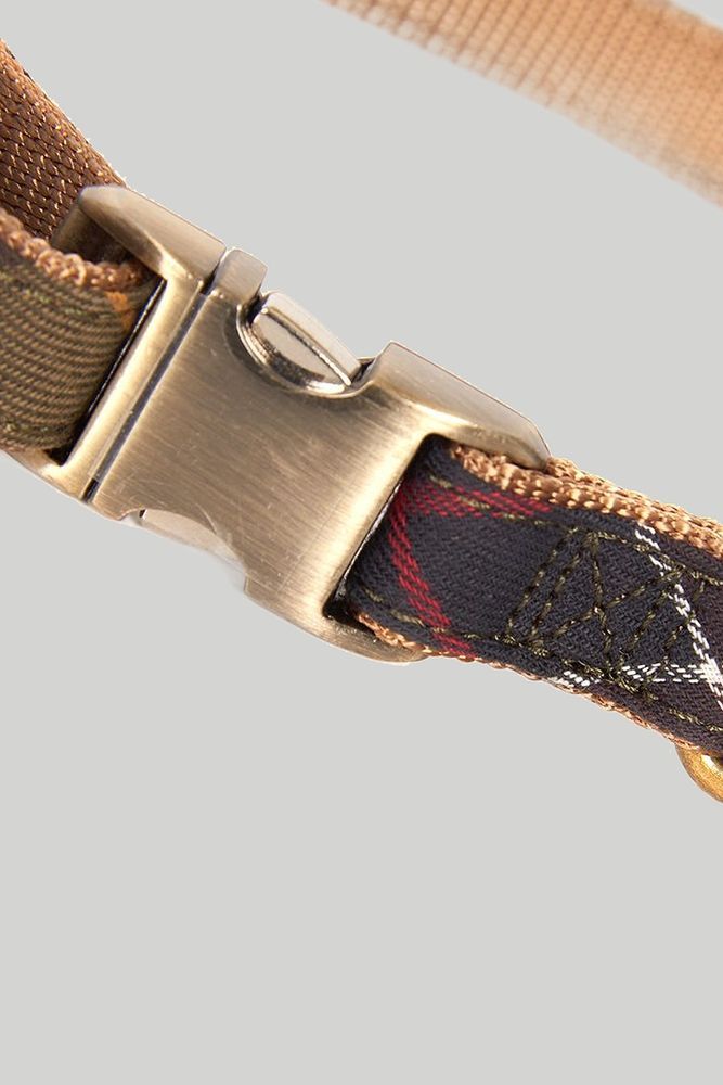 Нашийник Webbing Collar